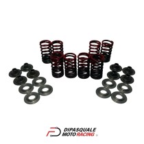 Kit de resortes de válvula de carreras