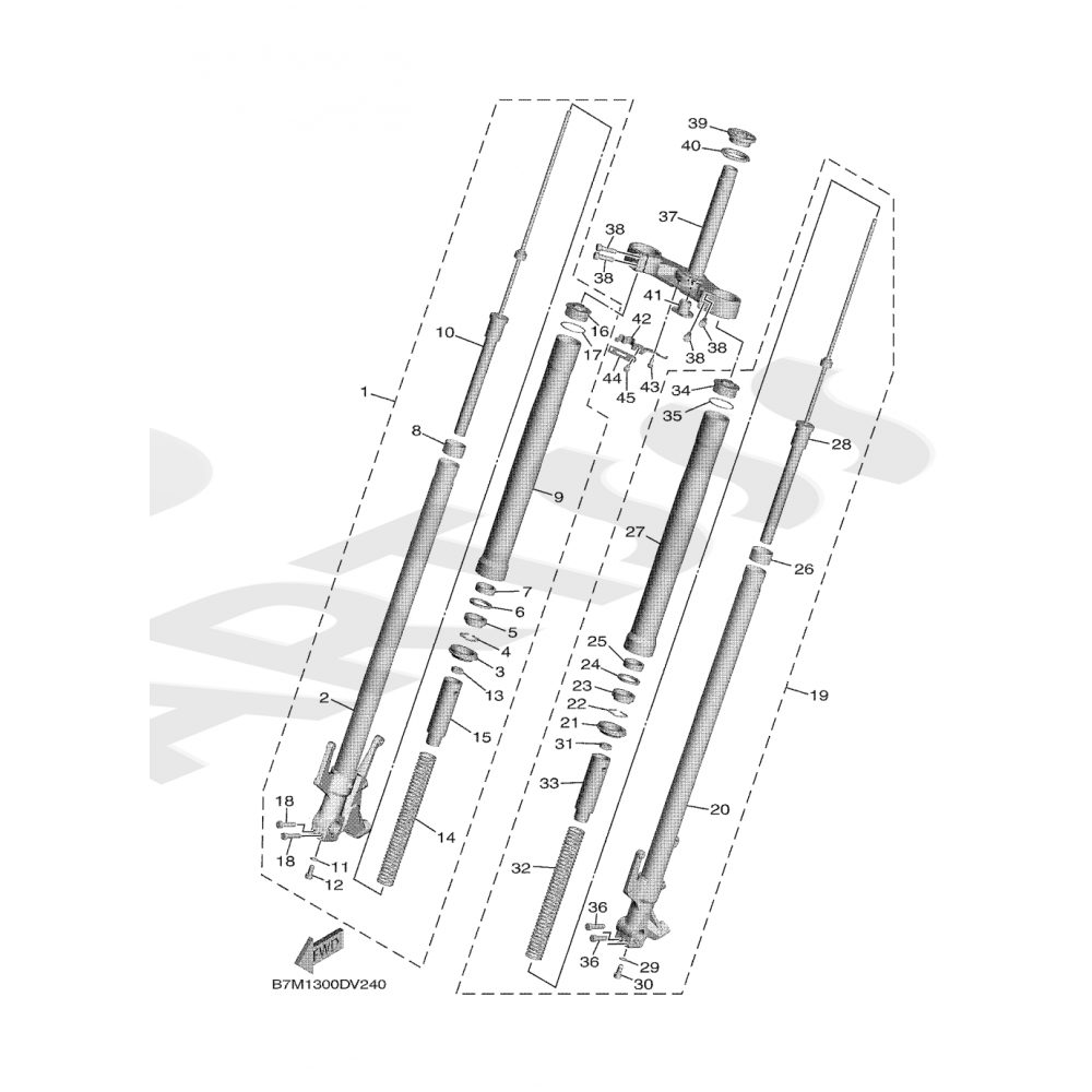 Kit de retén y guardapolvos de horquilla SKF verde - Yamaha T max 530-560