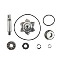 Kit de reparación bomba de agua T Max 500 04-11