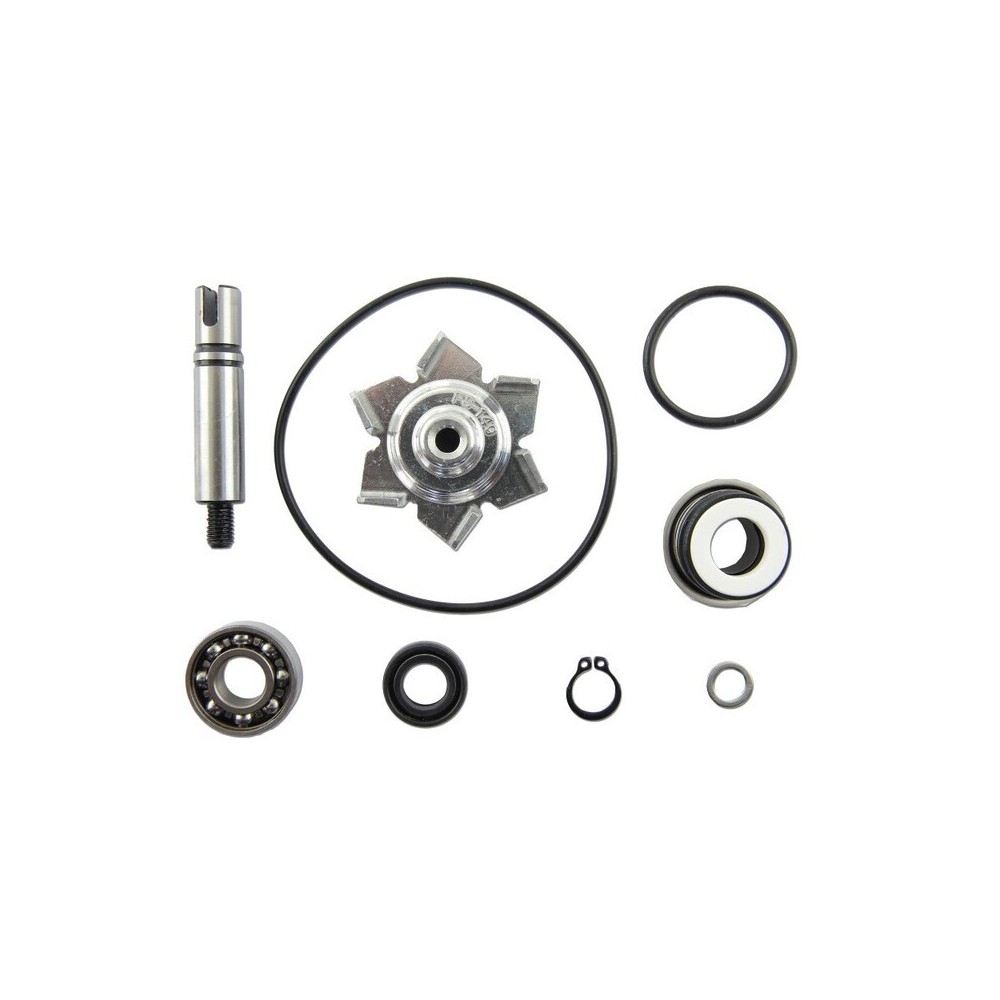 Kit de reparación bomba de agua T Max 500 04-11