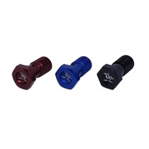 Tornillo  banjo para pinzas brembo paso fino