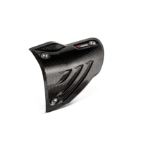 Protector térmico en Carbono para BMW S 1000 RR Akrapovic 2019 2020