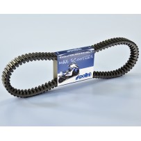 Correa variador evolution polini t max 500