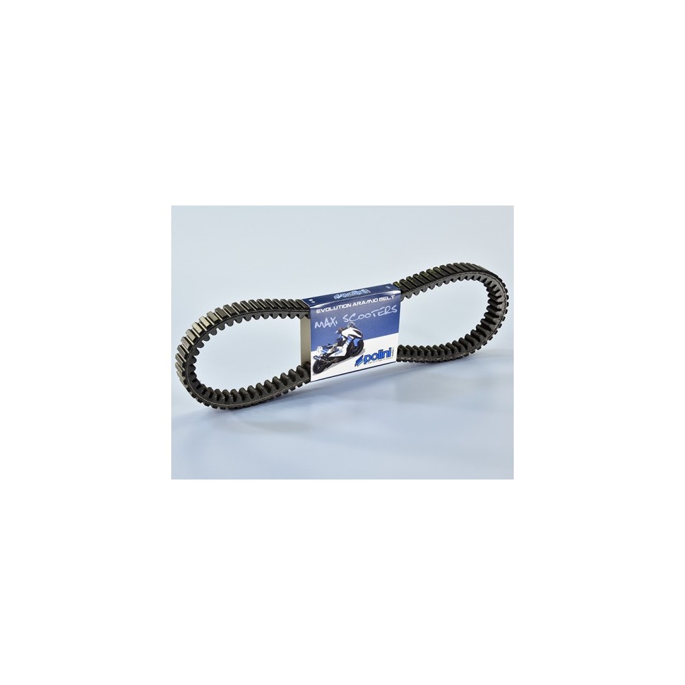 Correa variador evolution polini t max 500