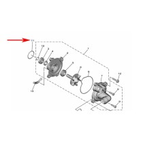 hover image