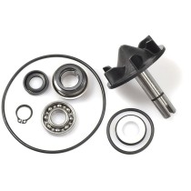 Kit de reparación bomba de agua T Max  530-560