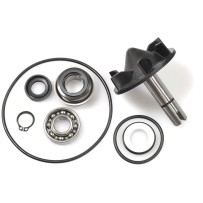 Kit de reparación bomba de agua T Max  530-560