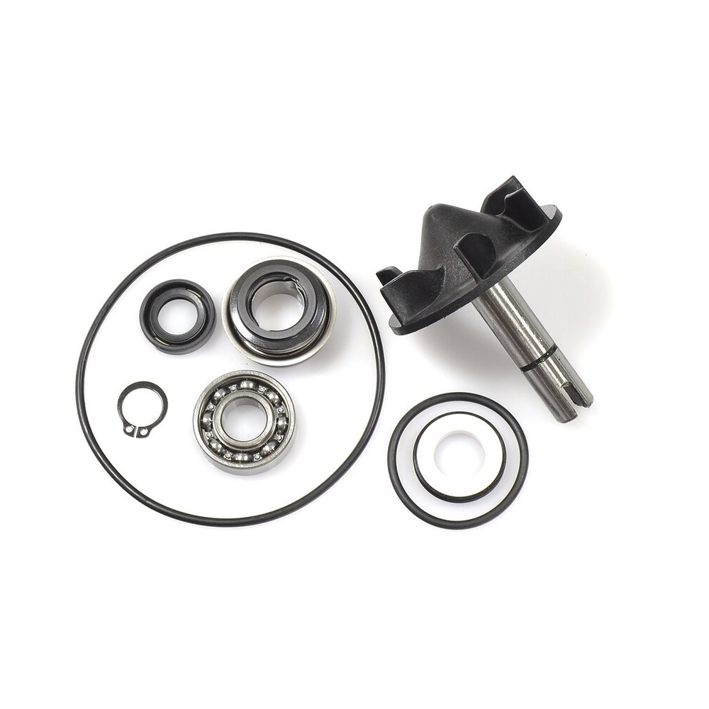 Kit de reparación bomba de agua T Max  530-560