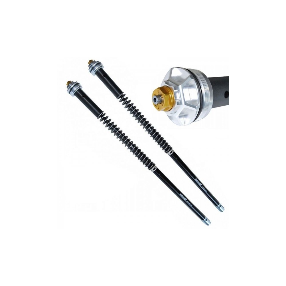 Andreani Cartuchos de horquilla regulables Misano EVO Yamaha T-Max 530 2012-16